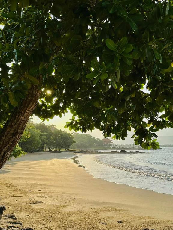 GREEN BAY PHU QUOC RESORT & SPA — фото 12
