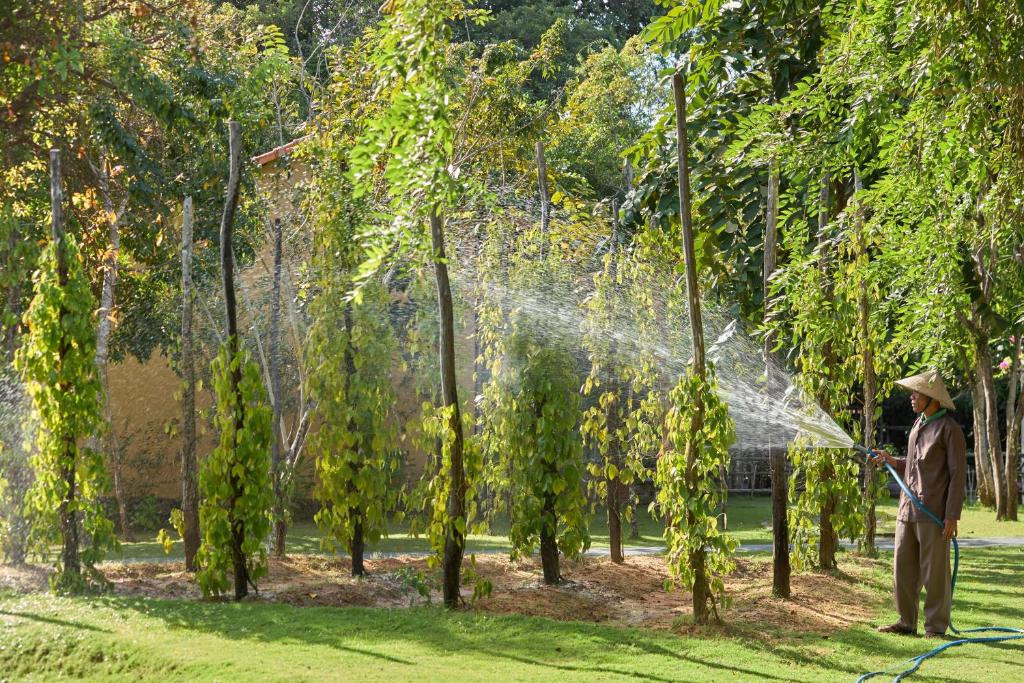 GREEN BAY PHU QUOC RESORT & SPA — фото 17