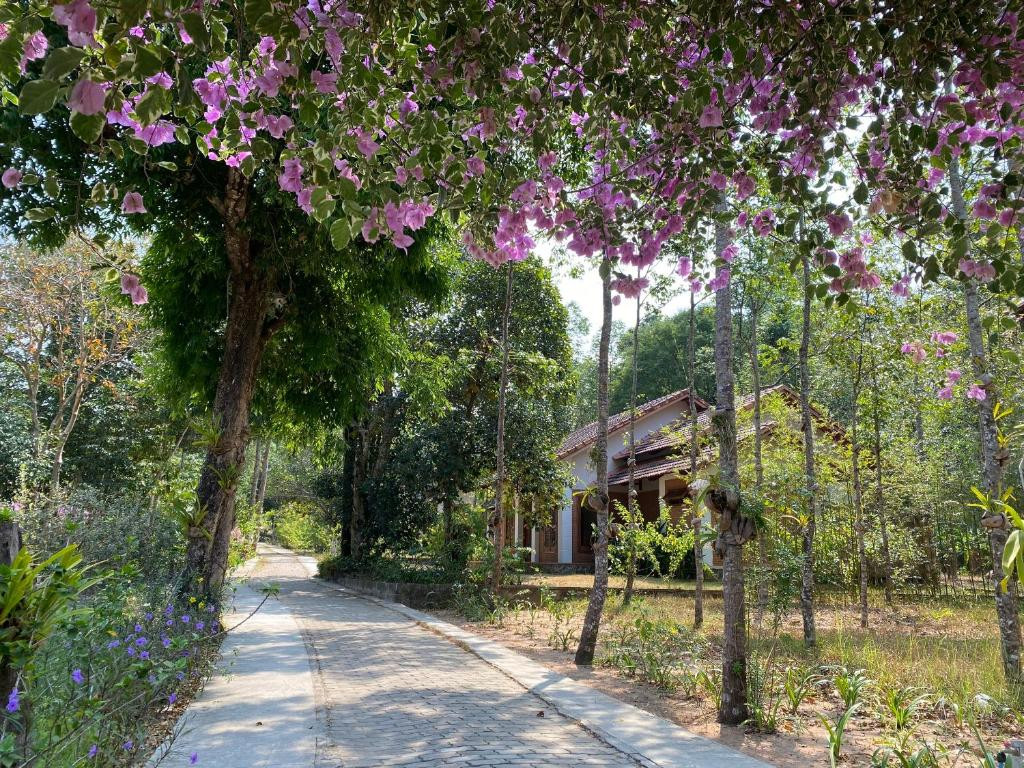 THE GARDEN HOUSE — фото 2