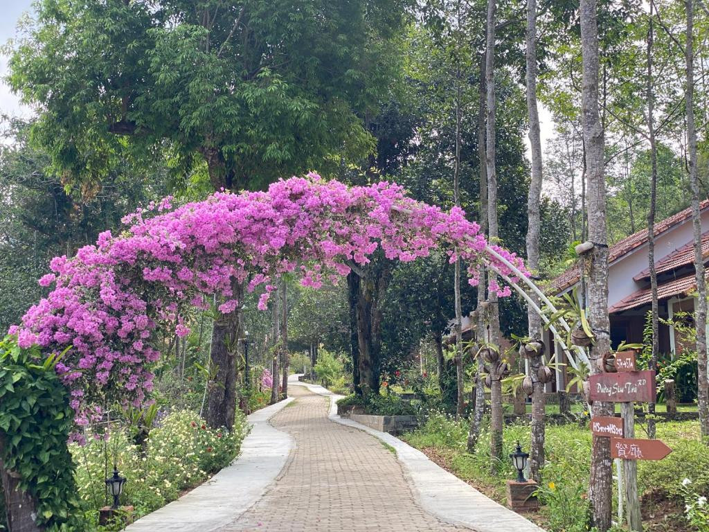 THE GARDEN HOUSE — фото 4