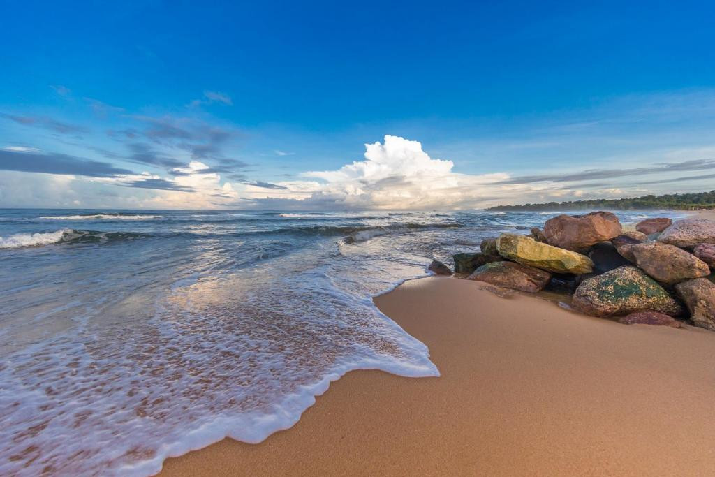 VINPEARL WONDERWORLD PHU QUOC (EX. VINPEARL DISCOVERY 1) — фото 8