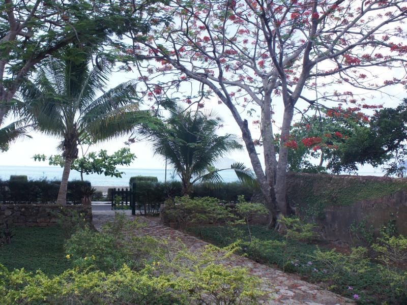 ATC CON DAO RESORT & SPA — фото 15